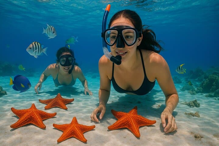 Cozumel Snorkel Adventure: Palancar, Columbia & El Cielo Sandbar photo 1