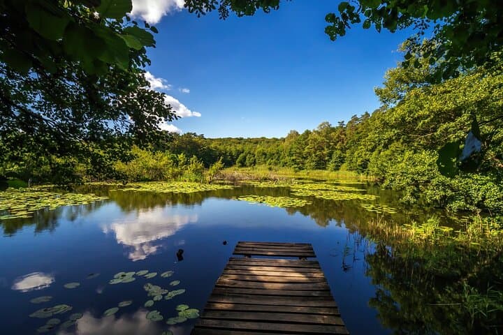 Private Wolin National Park Tour from Szczecin — Bison Farm, Cliffs & Viewpoints photo 3