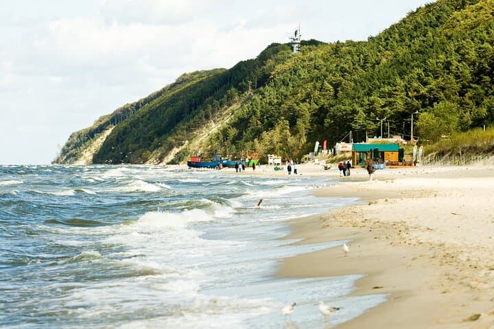 Private Wolin National Park Tour from Szczecin — Bison Farm, Cliffs & Viewpoints photo 4