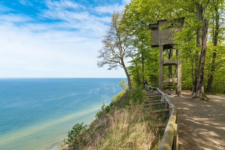 Private Wolin National Park Tour from Szczecin — Bison Farm, Cliffs & Viewpoints photo 5
