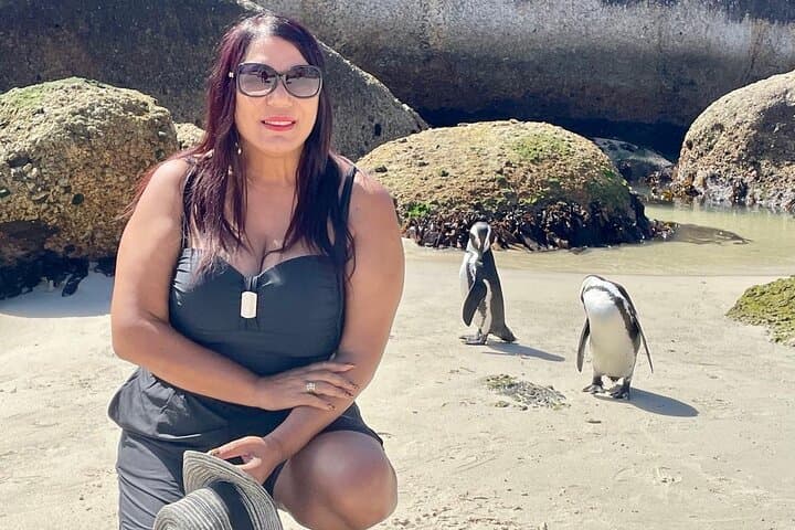 Cape of Good Hope & Boulders Penguins — Small-Group Cape Peninsula Day Tour photo 1