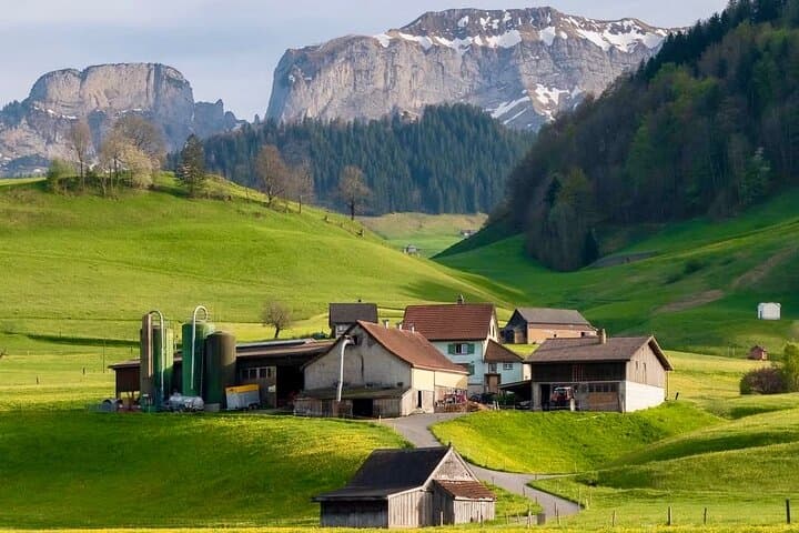 Appenzell Cow Milking, Cheese & Alpine Farm Tour from Zurich