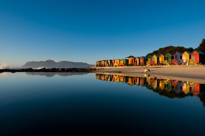 Table Mountain, Cape Point & African Penguins: Full-Day Cape Town Tour (All Fees Included) photo 4
