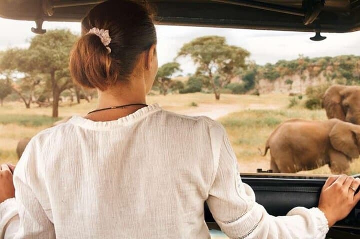 Pilanesberg Shared Transfer and 3-Hour Safari from Johannesburg photo 6