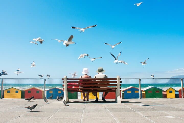 Discover Hidden Gems of Cape Town — Off-the-Beaten-Path Full-Day Tour