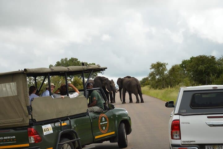 Pilanesberg Shared Transfer and 3-Hour Safari from Johannesburg