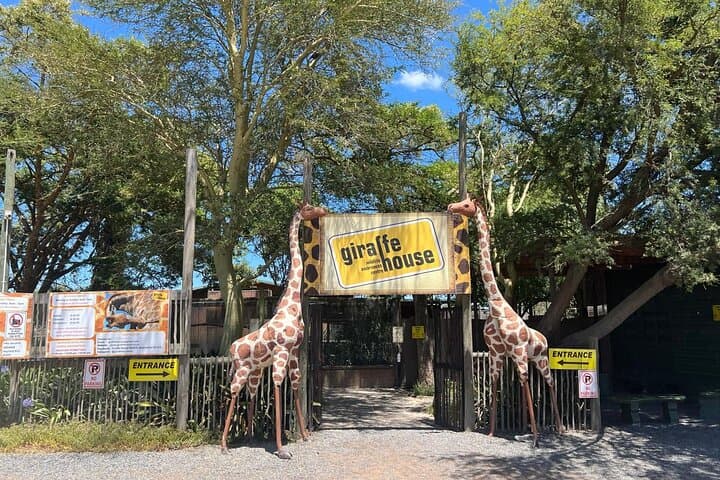 Cape Town Cheetah Outreach & Giraffe House with Cape Winelands Wine Tasting