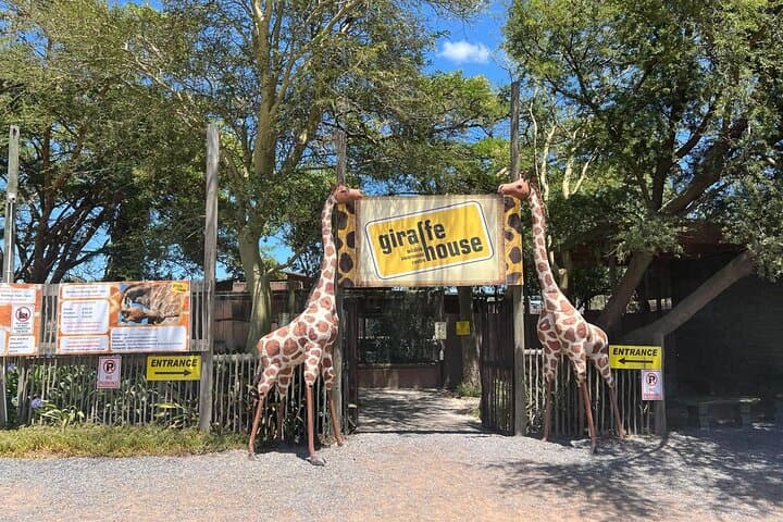 Giraffe Encounter & Lion Park with Stellenbosch Wine Tasting — Day Trip from Cape Town photo 2