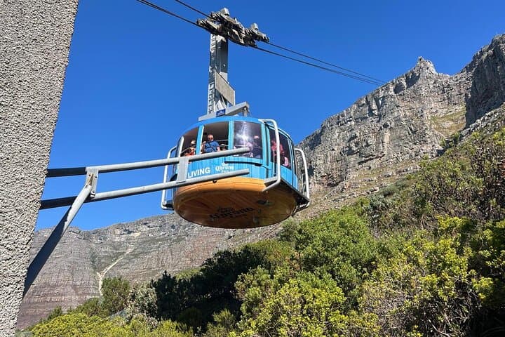 Table Mountain Cableway and Guided Hike — Cape Town Summit Experience photo 3