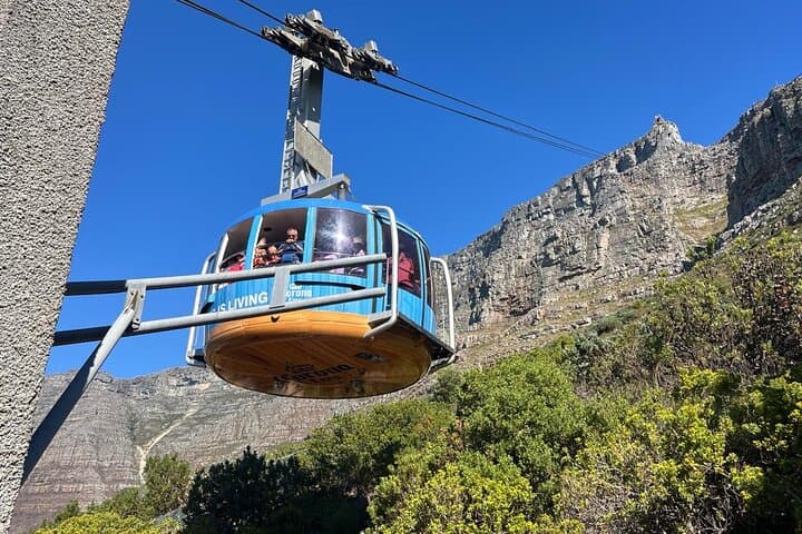 Table Mountain Cableway & Bo‑Kaap Cultural Half‑Day from Cape Town photo 6