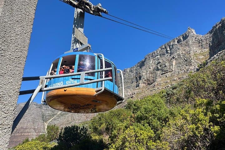 Table Mountain Cableway & Bo‑Kaap Cultural Half‑Day from Cape Town photo 5