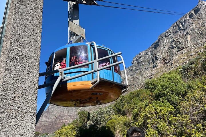 Table Mountain Cable Car and Constantia Wine Tasting — Cape Town Day Tour photo 5
