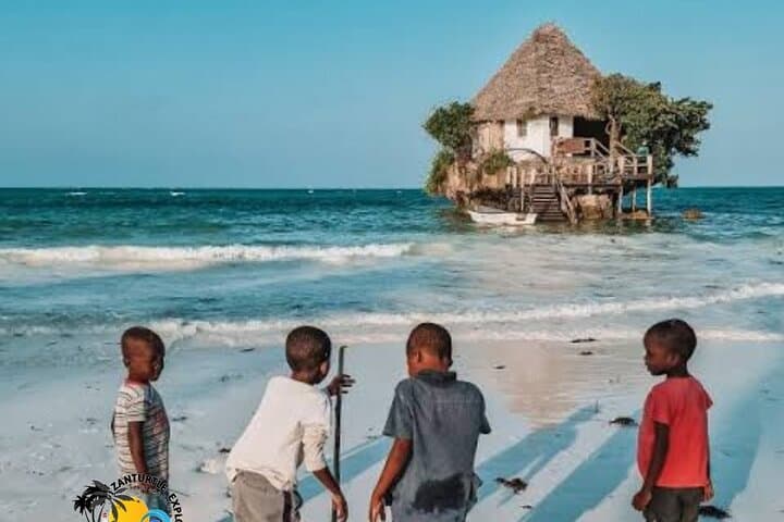 Jozani Forest & The Rock Restaurant: Monkeys, Mangroves, and Ocean Lunch photo 6