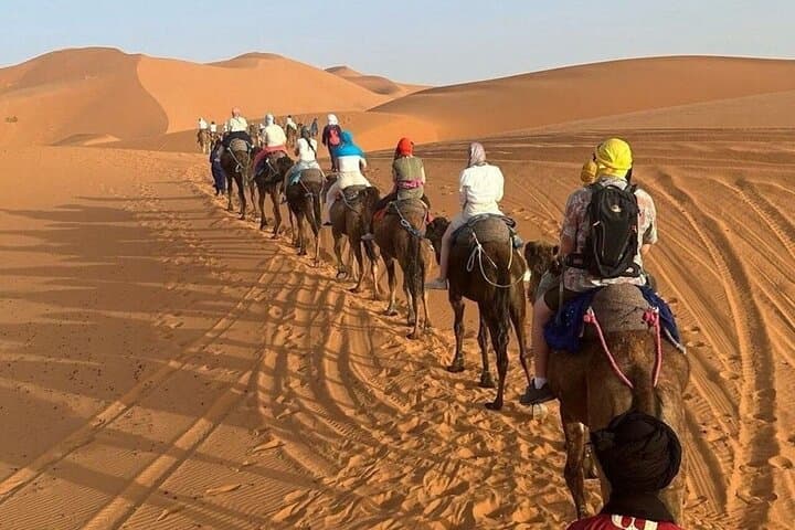 Agafay Desert Quad and Camel Sunset Adventure with Dinner and Live Show photo 6