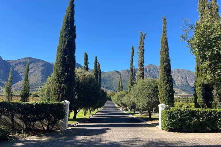 Franschhoek Wine Tram: Hop-On Hop-Off Tasting Tour from Cape Town photo 3