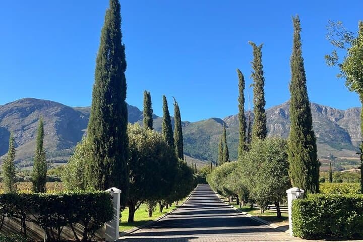 Franschhoek Wine Tram: Hop-On Hop-Off Tasting Tour from Cape Town photo 4