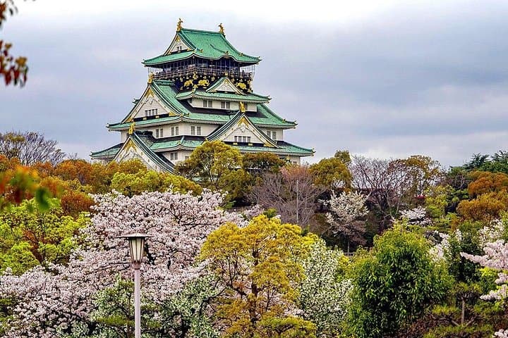 Full-Day Osaka Walking Tour: Local Guide to Food, Shrines & City Views photo 1