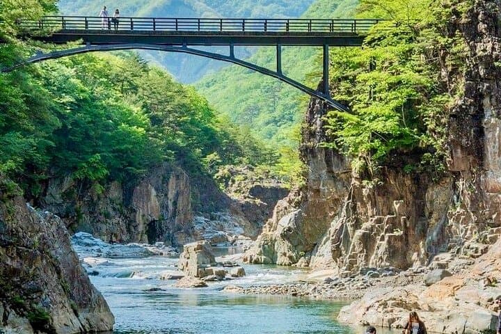 Private Nikko Day Tour from Tokyo — Toshogu, Kegon Falls & Lake Chuzenji