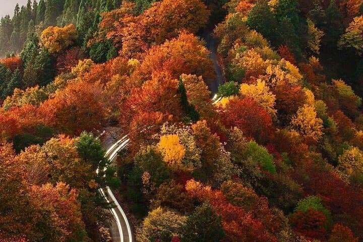 Private Nikko Day Tour from Tokyo — Toshogu, Kegon Falls & Lake Chuzenji photo 5