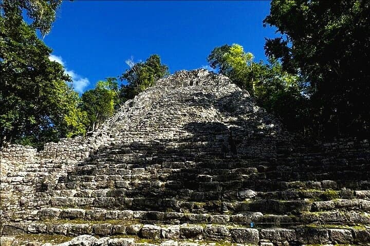 Coba Ruins & Tulum Cenotes: Private Day Trip with Swimming and Jungle Views photo 2