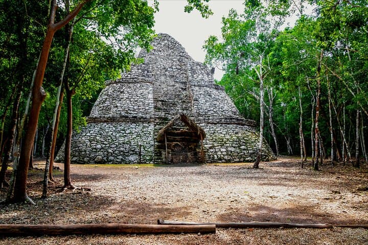 Coba Ruins & Tulum Cenotes: Private Day Trip with Swimming and Jungle Views photo 3