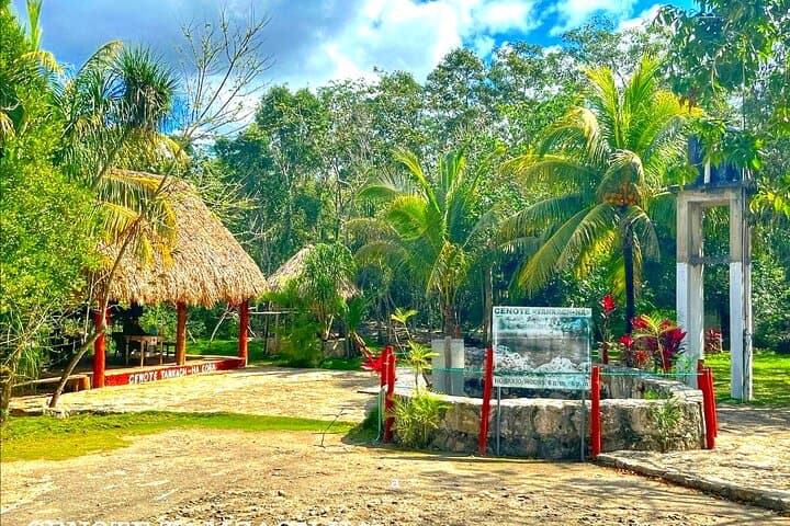 Coba Ruins & Tulum Cenotes: Private Day Trip with Swimming and Jungle Views photo 5