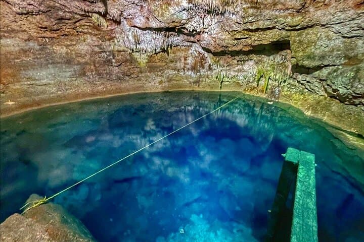 Coba Ruins & Tulum Cenotes: Private Day Trip with Swimming and Jungle Views photo 6