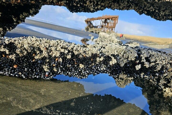 Oregon Coast Day Tour: Astoria, Cannon Beach, Haystack Rock & Peter Iredale