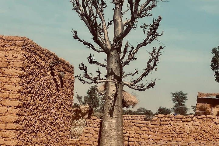 Cultural and Historic Sultanates of Niger: 9-Day Immersive Tour photo 3