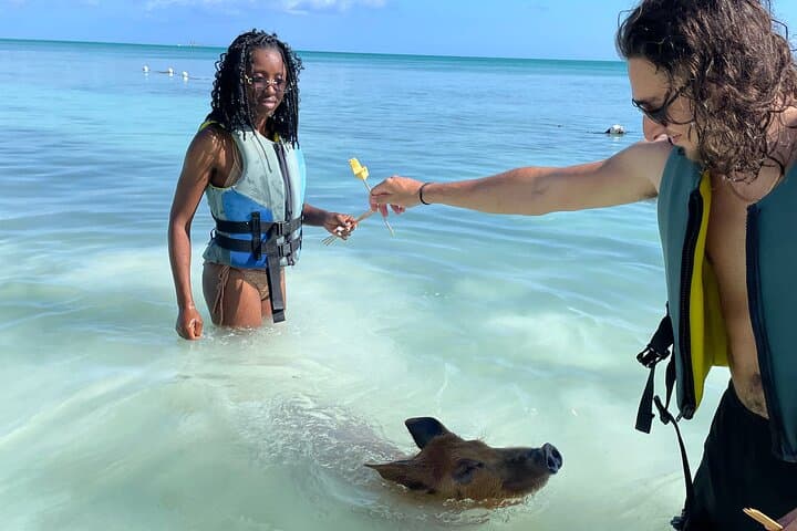 Swim with the Pigs Freeport — Beachfront Pig Encounter in Grand Bahama photo 5