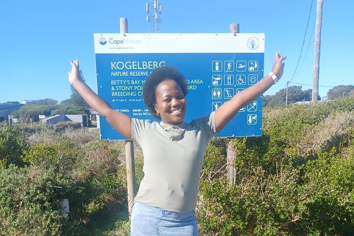 Hermanus Whale Watching & Cape Winelands Day Tour from Cape Town photo 2