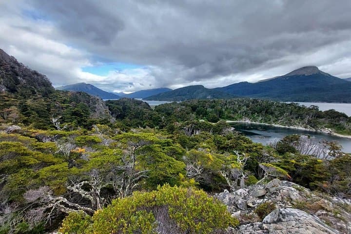 Sail to Redonda Island: End of the World Navigation from Ushuaia photo 2