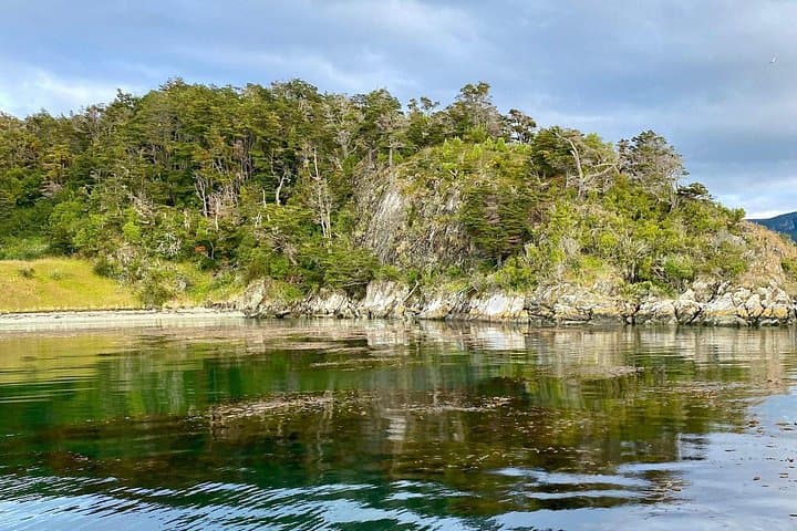 Sail to Redonda Island: End of the World Navigation from Ushuaia photo 4