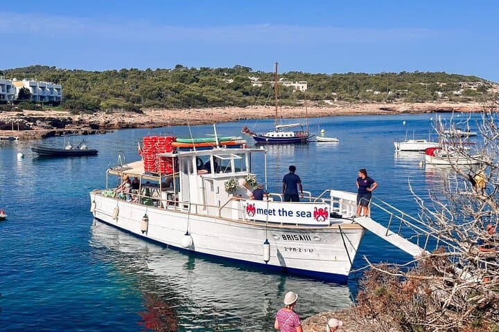 Family Boat Trip to Sa Conillera: Snorkel, Paella & Paddle from San Antoni