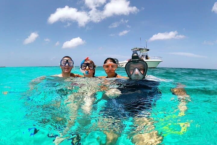 Guided Buggy Tour in Cozumel from Tulum — Tequila, Snorkel & Island Sights photo 6