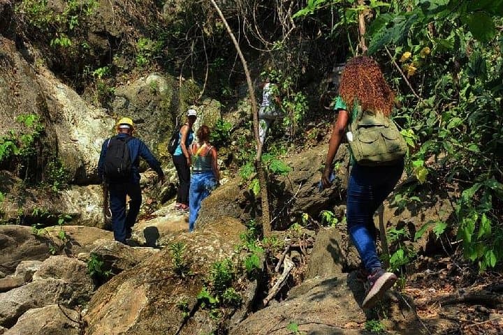 Hike Parrot Mountain at Fundación Loros: Wildlife & Conservation Near Cartagena photo 3