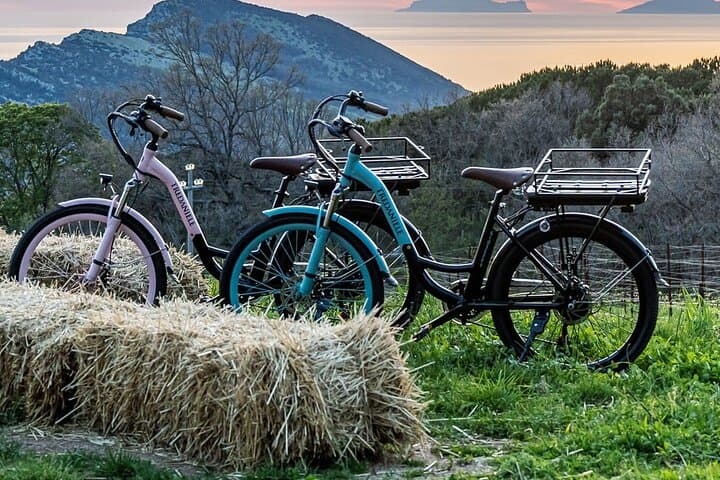 E-bike Through Cilento: Picnic, Wine & Village Roads
