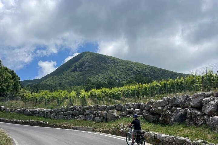E-bike Through Cilento: Picnic, Wine & Village Roads photo 6