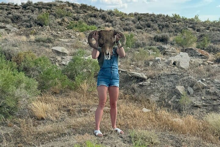 Bone Hunting in Wyoming: Guided Skull & Skeleton Foray Near Laramie photo 3