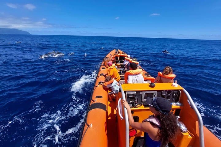 São Miguel Whale & Dolphin Watching — Vila Franca do Campo Boat Tour photo 4
