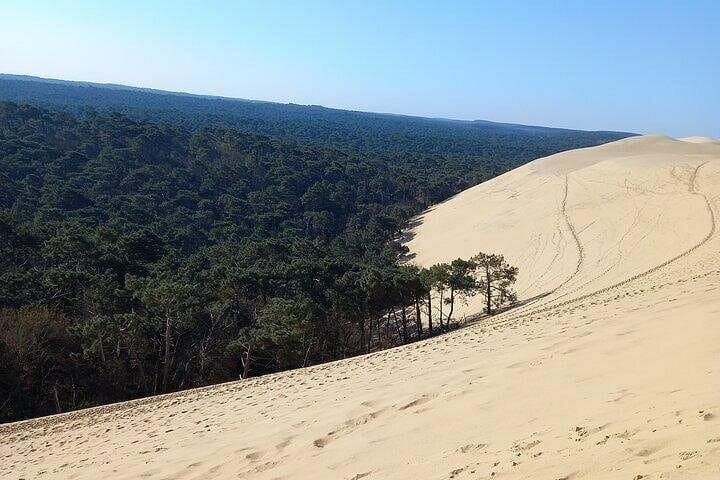 Dune du Pilat and Arcachon Bay: Dune Climb, Oyster Tasting & Coastal Views photo 4