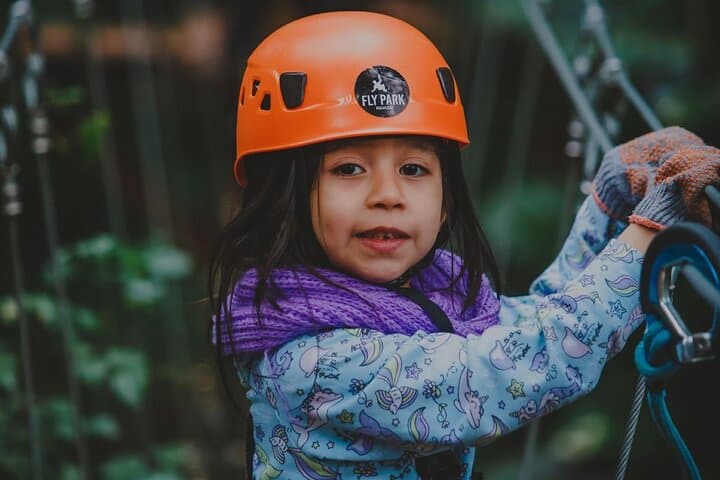Fly Park Iguazú — Zipline Roller Coaster & Treetop Adventure in the Misiones Jungle