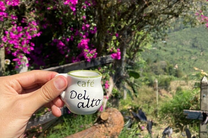 Full-Day Jardín Coffee Tour with Optional Horseback Riding from Medellín photo 3