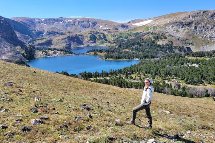Northern Yellowstone Safari from Cody — Lamar Valley Wildlife & Upper Loop Day Tour photo 3