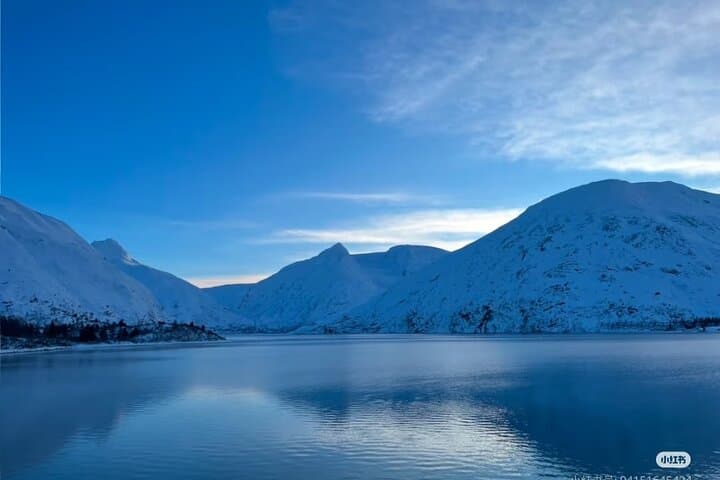 Whittier Cruise Shuttle: Portage Lake, Alaska Wildlife Conservation Center & Beluga Point Day Tour photo 4
