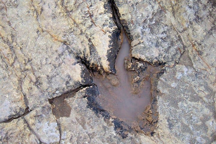 2-Day Private Tour to Toro Toro National Park — Caves, Canyons & Dinosaur Tracks photo 2