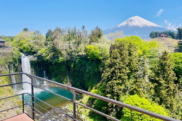 Full-Day Hakone & Mt. Fuji Private Sightseeing Tour photo 2