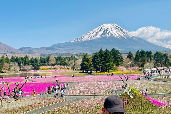 Full-Day Hakone & Mt. Fuji Private Sightseeing Tour photo 5