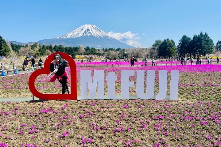 Full-Day Hakone & Mt. Fuji Private Sightseeing Tour photo 6