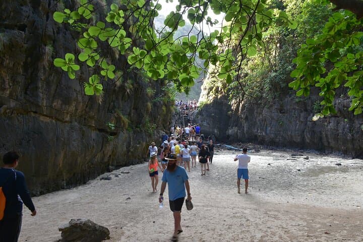 Phi Phi Early-Bird Odyssey from Krabi — Beat the Crowds to Maya Bay & Snorkel photo 6